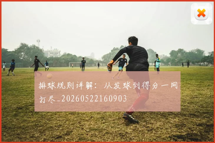 排球规则详解:从发球到得分一网打尽_20260522160903