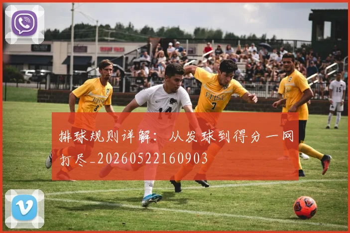 排球规则详解:从发球到得分一网打尽_20260522160903
